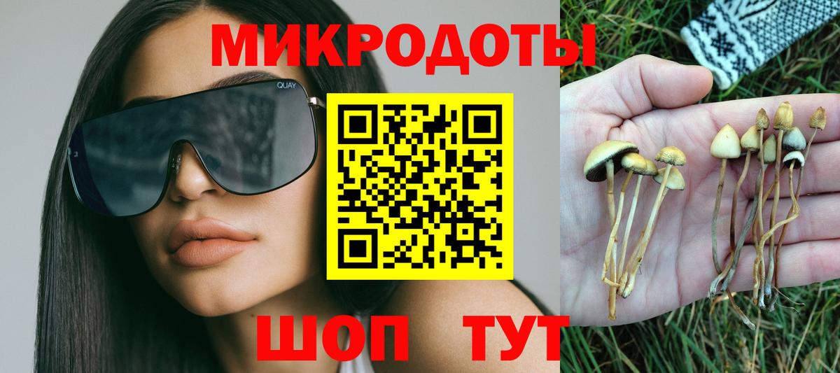 Галлюциногенные грибы Psilocybe  Галлюциногенные грибы GOLDEN TEACHER  Свободный  как найти наркотики  Вход с VPN 
